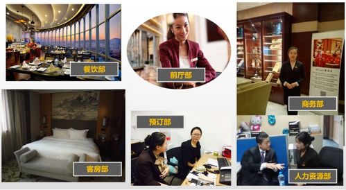 酒店管理專業中的餐飲管理 藝術與科學的融合